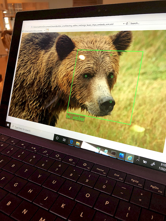 Face ID Software for Bears, Latest Science News and Articles